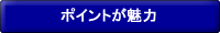 ポイントが魅力